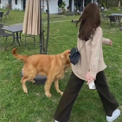 杂嘴子