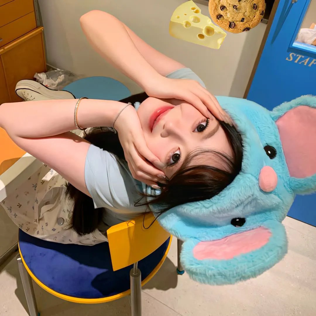 彩叶草之梦